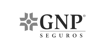 GNP